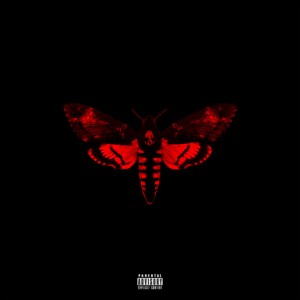 Lil Wayne - Not A Human Being II