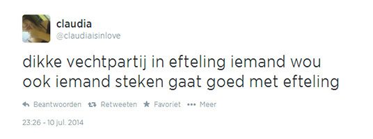 Meisjes in Efteling in elkaar geslagen