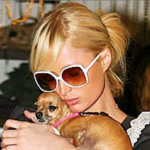Paris Hilton bedroefd om dood hondje