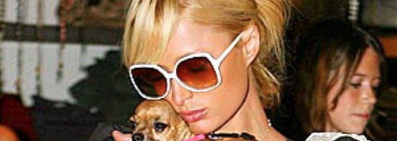 Paris Hilton bedroefd om dood hondje