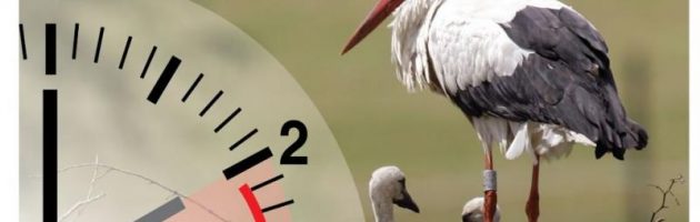 Zomertijd: uurtje korter slapen, maar langer licht