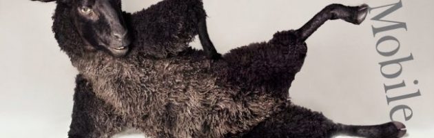 T-Mobile neemt Tele2 Mobiel over