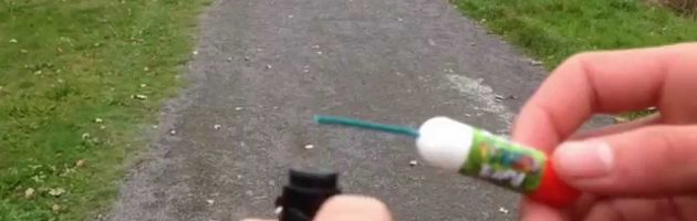 Kabinet gaat rotjes verbieden