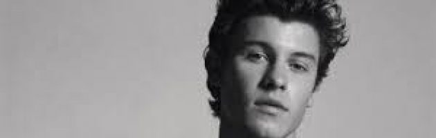 Shawn Mendes voor concert naar Amsterdam