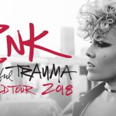Pink – Beatiful Trauma World Tour