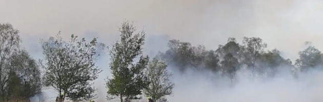 Brandweer vecht tegen natuurbranden Brabant en Limburg