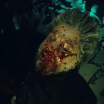The Weeknd brengt video voor ‘Gasoline’