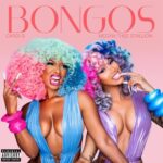 Cardi B en Megan Thee Stallion doen het samen op BONGOS